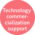 Technology commercialization support