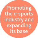 Promoting the e-sports industry and expanding its base