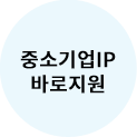 중소기업IP 바로지원