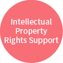 Intellectual Property Rights Support