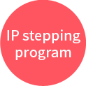 IP stepping program