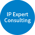 IP Expert Consulting