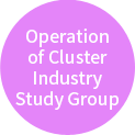 Operation of Cluster Industry Study Group