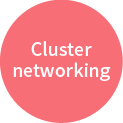 Cluster networking