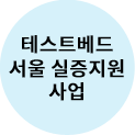 테스트베드 서울 실증지원